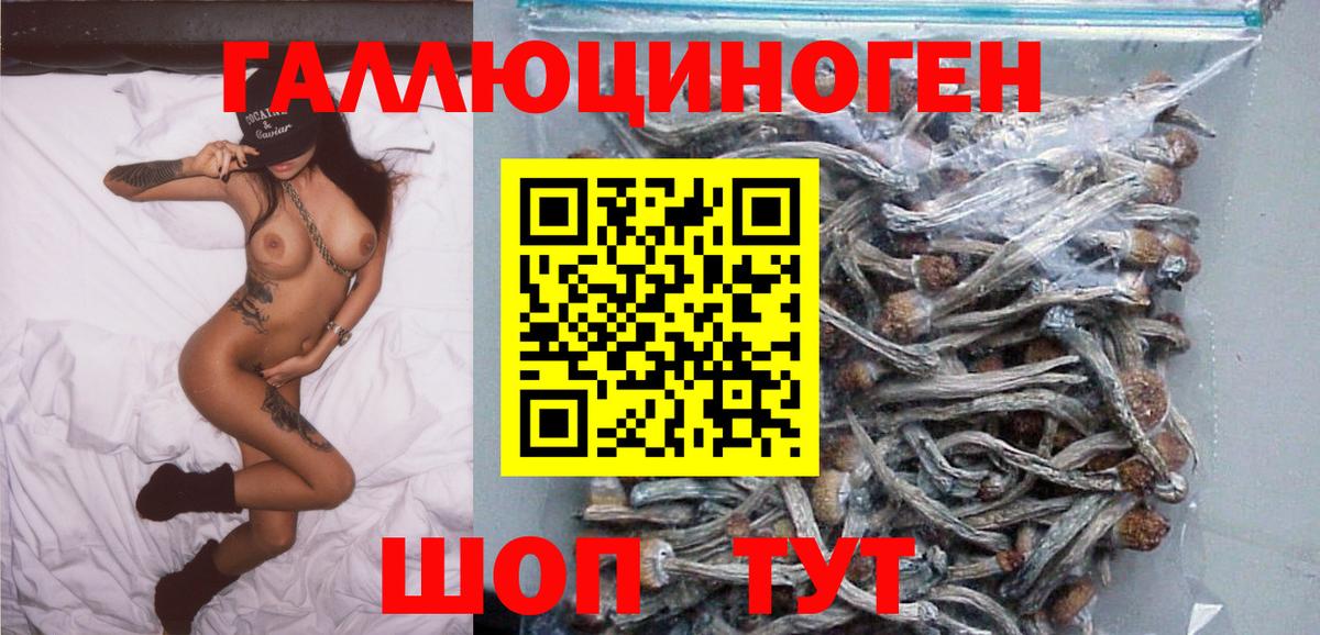 Псилоцибиновые грибы Psilocybe  Вход с VPN  Татарск 